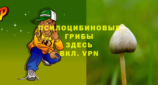 СК Верхний Тагил