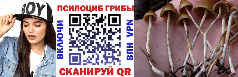 где купить наркоту  гидра   Галлюциногенные грибы ЛСД  Камень-на-Оби 